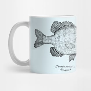 POMOXIS ANNULARIS Mug